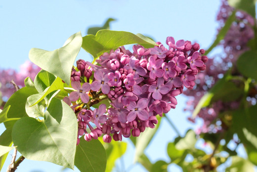 718270 (a): :2048x1366